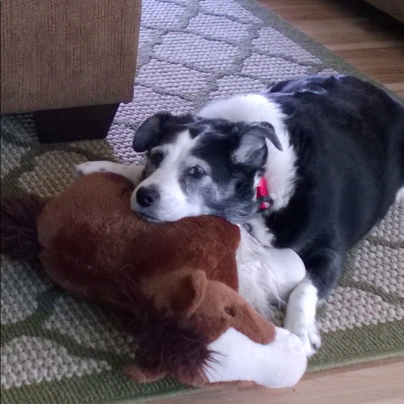 Meet your Posher, Julie - Picture 5 of 7